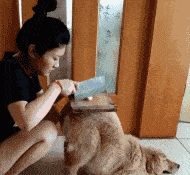 搞笑GIF：哥們，你和狗子經歷了啥，弄得滿身都是泥 搞笑整蠱 第6张