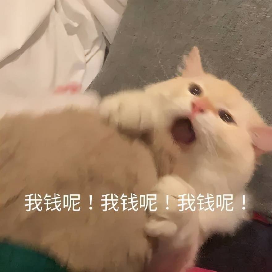 音分从呆瓜素颜到美漫小野猫，堪称徒手整形的抖音换头博主？
