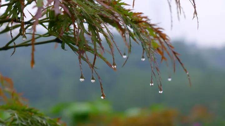 乡思|“秋光点点蛛丝雨” 品味诗词里的最美秋天~！