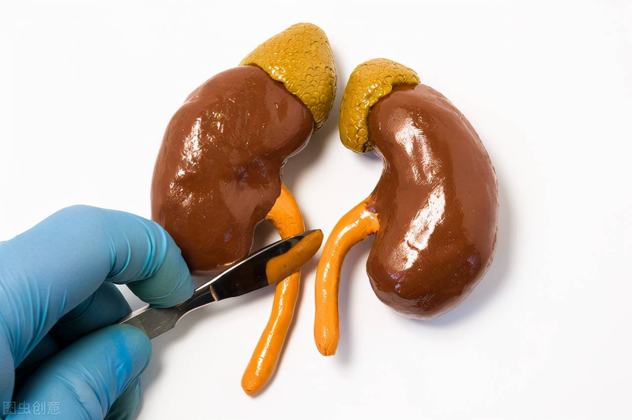 肾脏|好好吃饭，谨“肾”饮食，别让美食伤了自己的肾