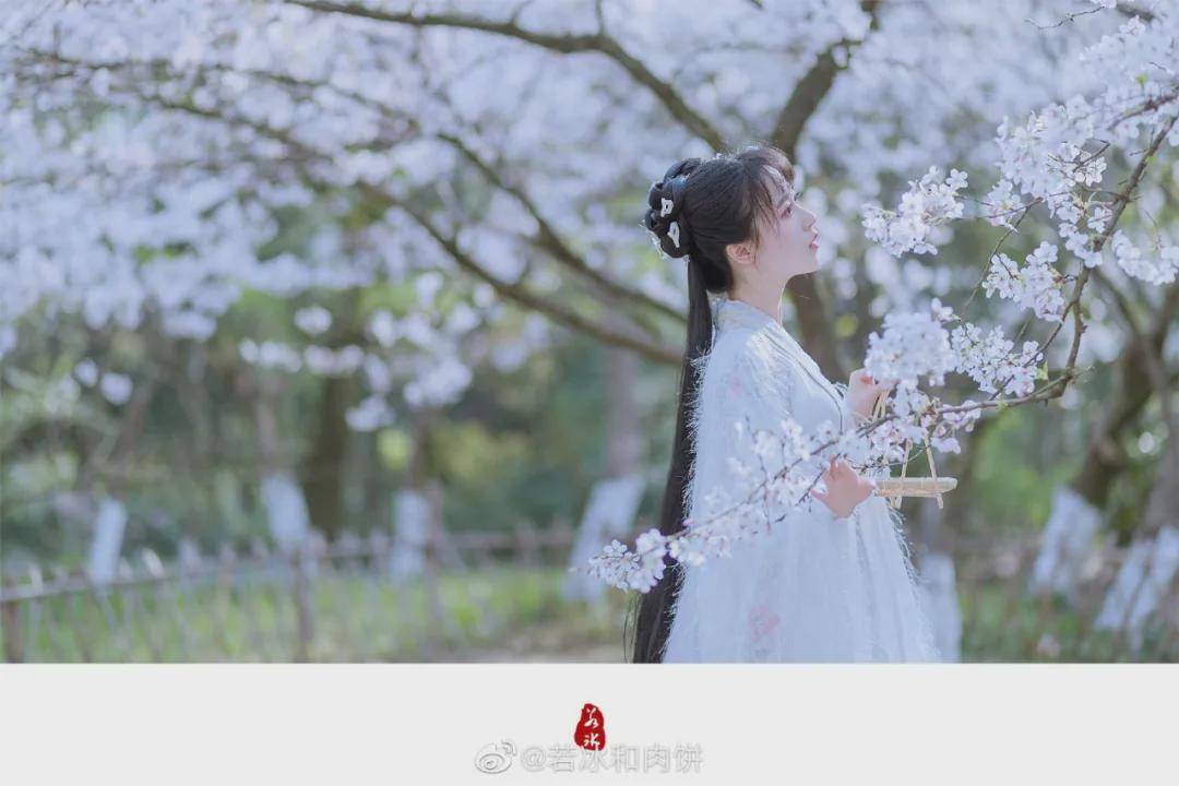 春色 汉服小仙女:春路雨添花,花动一山春色