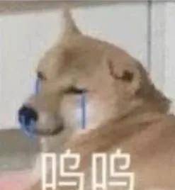 陈赫|《最后的赢家》全员配合赵又廷飙戏?秦霄贤直接大喊“放回去”