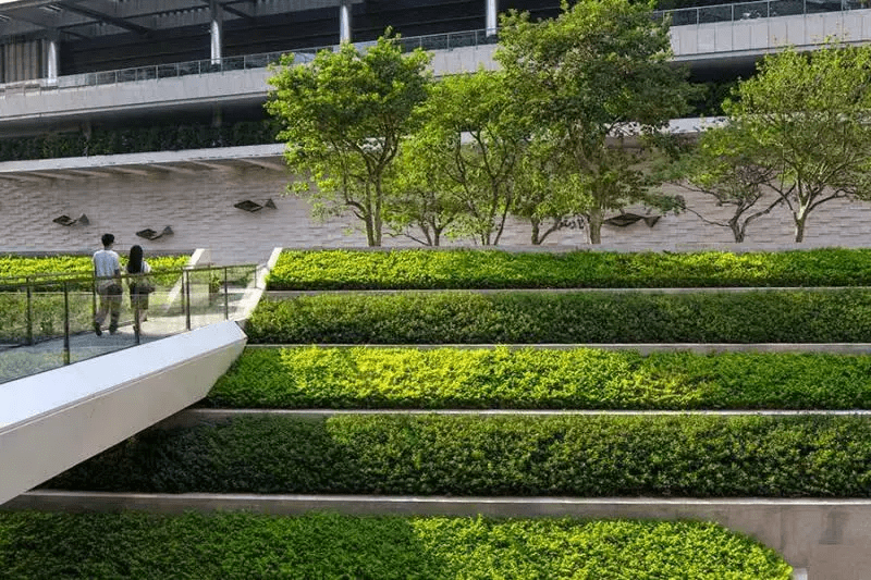 景观设计灵感 01c7b9efc63448f088e3d9f03cda7339.png