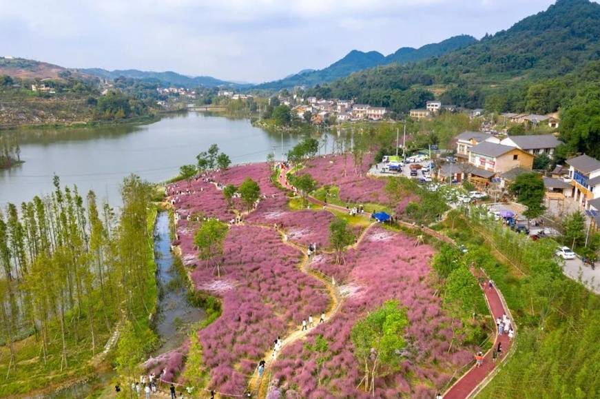 游客|沙坪坝：“火热”的乡村旅游勾勒村美民富新画卷