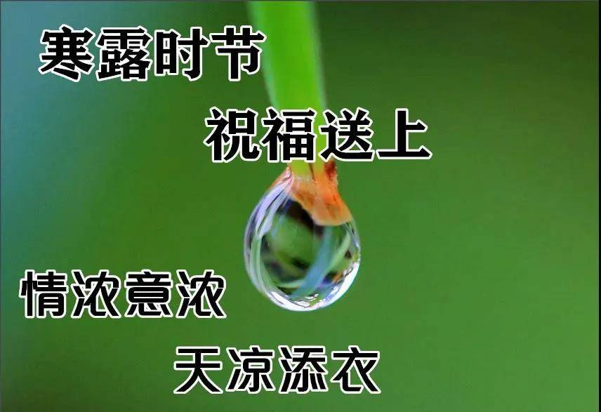 7b116f8463aa41b7a36633b9c52af101.jpeg