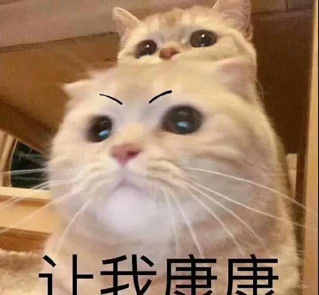 陈赫|《最后的赢家》全员配合赵又廷飙戏?秦霄贤直接大喊“放回去”