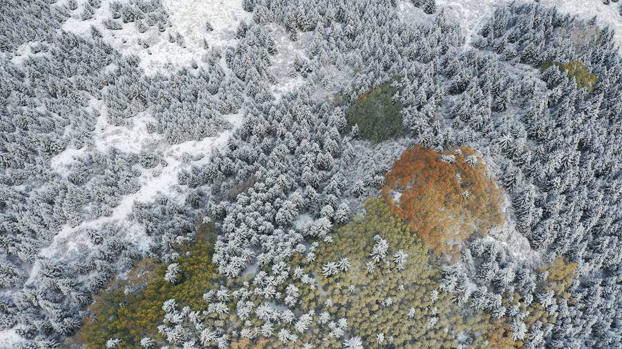 来源|甘肃肃南：秋雪美景宛若童话