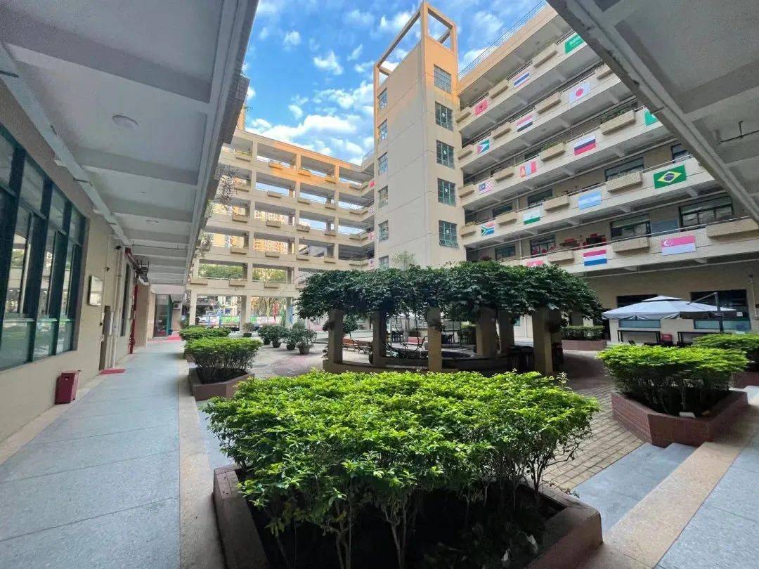 深圳绿洲学校初中部入学深国交最新消息,gl测试评估分数不低于89!