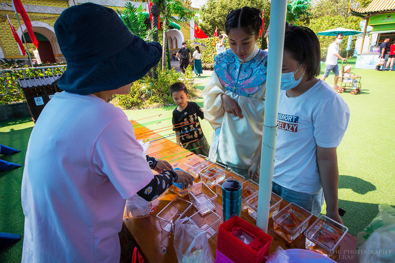 国庆|一个简易鱼池，一根鱼竿30块，游客路过就迈不开腿，为何这么火？