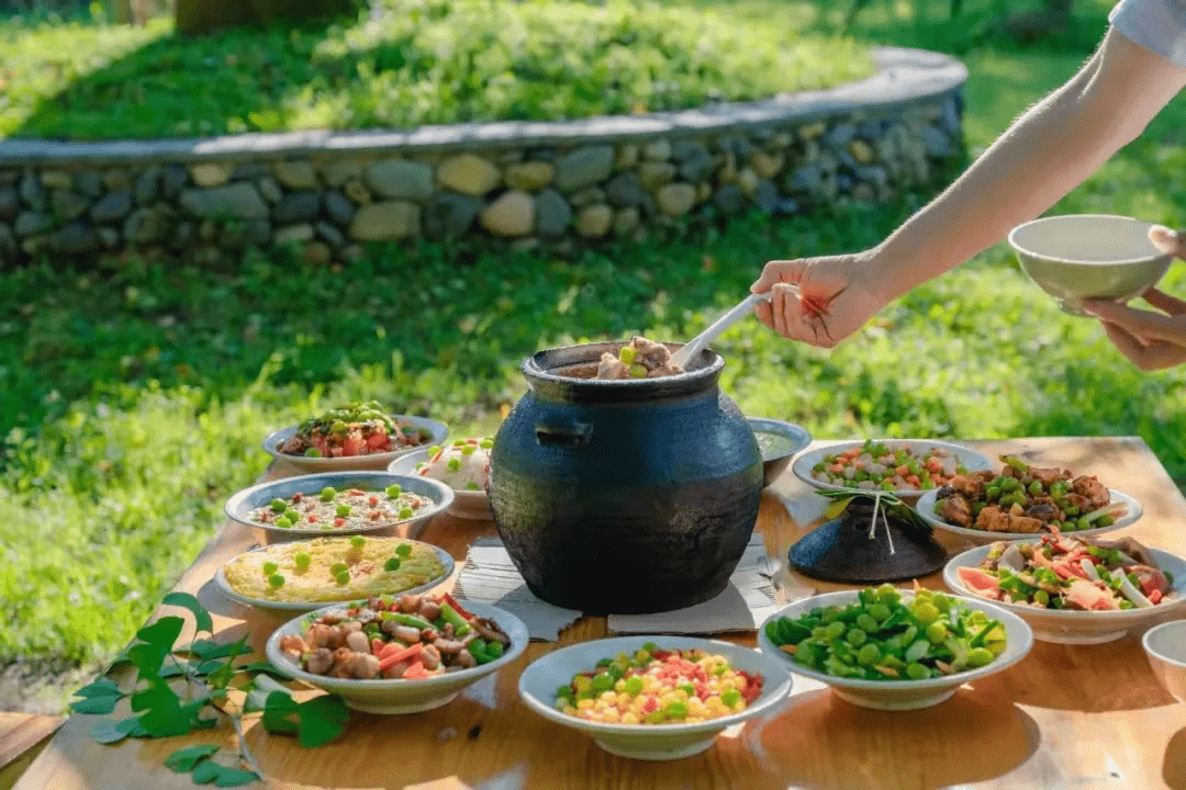 盆景|银杏小镇新增雅趣打卡地——盆景园