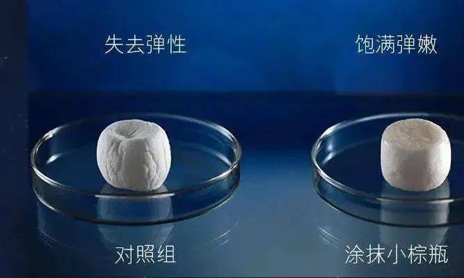 艾地割韭菜还是真升级？明星精华升级款大起底开始咯