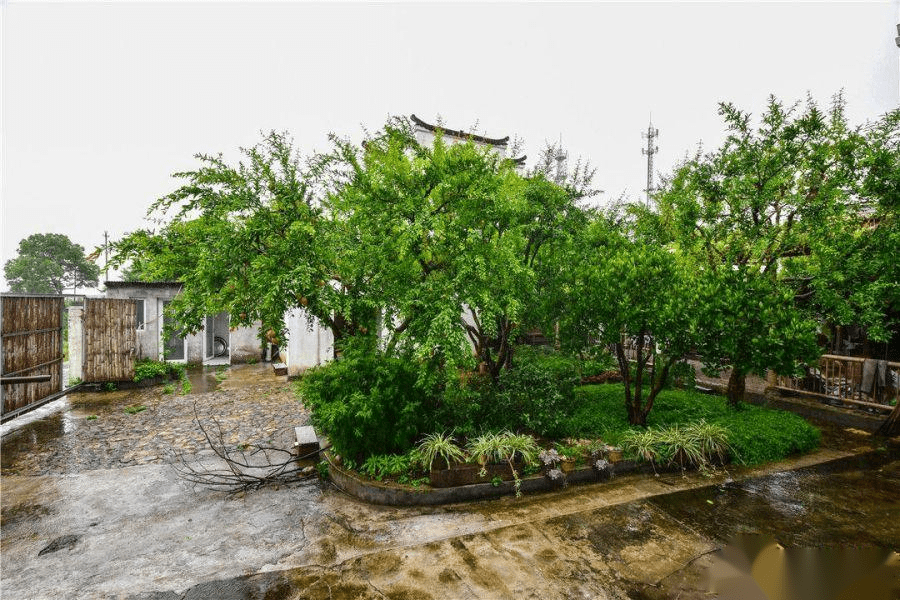 建德新叶古村民宿图片