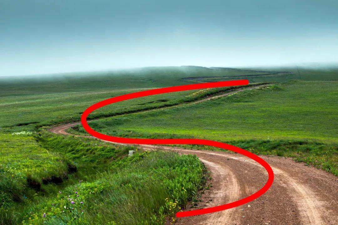 S型构图 来自搜狐网