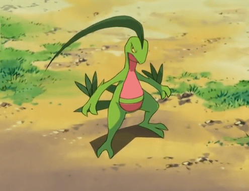 小智宝可梦中少有的因为失恋而使用不出招式来的宝可梦蜥蜴王