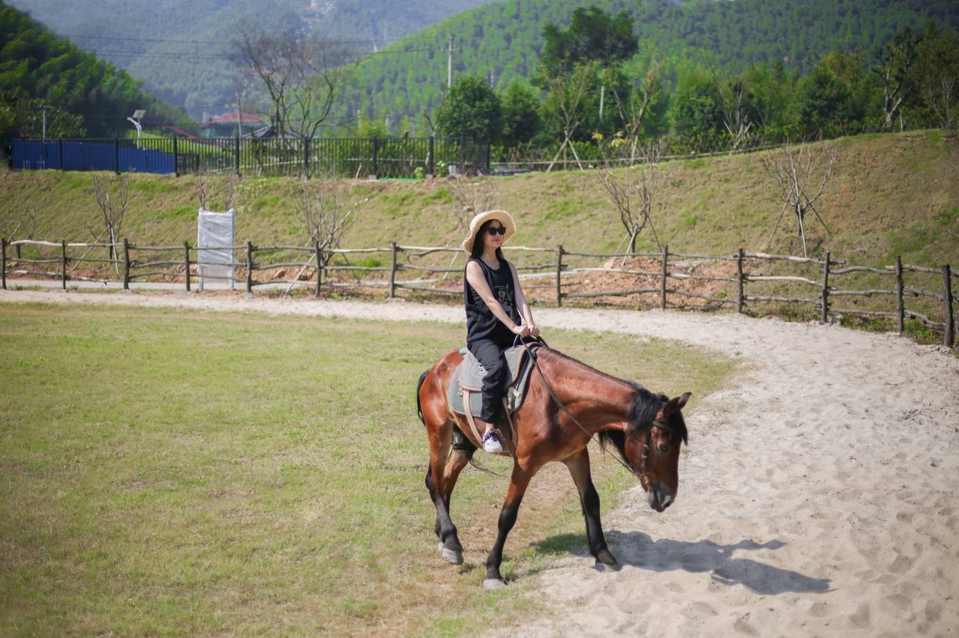 天际|浙里新西兰，距离杭州半小时车程的天际森谷游玩新体验