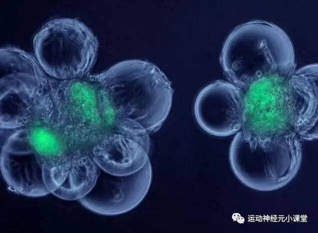 治疗|运动神经元病最新治疗方案9