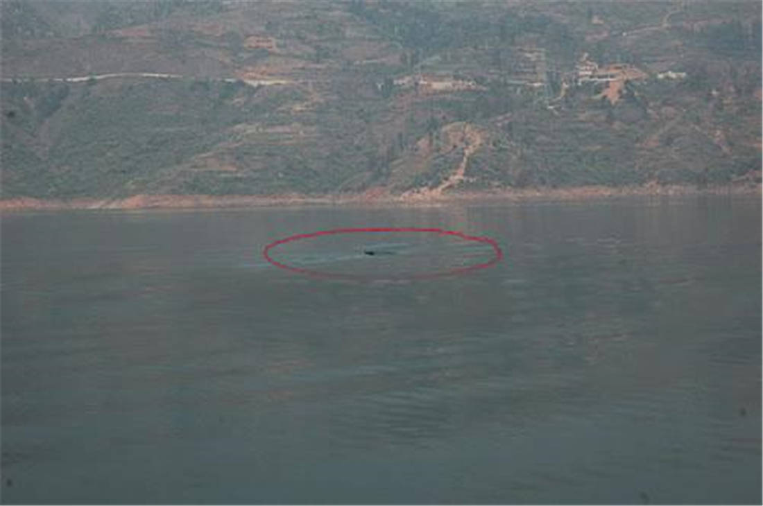 贵州牂牁湖“鱼怪”再现身？身长12米，足有1吨重，掀起3米巨浪