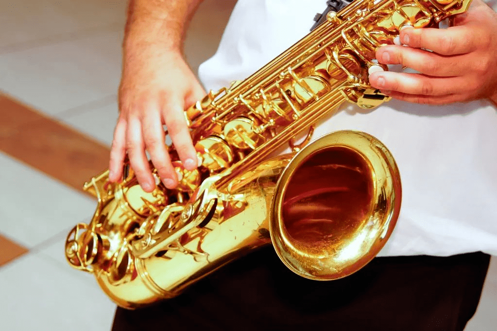 音乐艺考中可以考哪些器乐?35种器乐全览_乐器