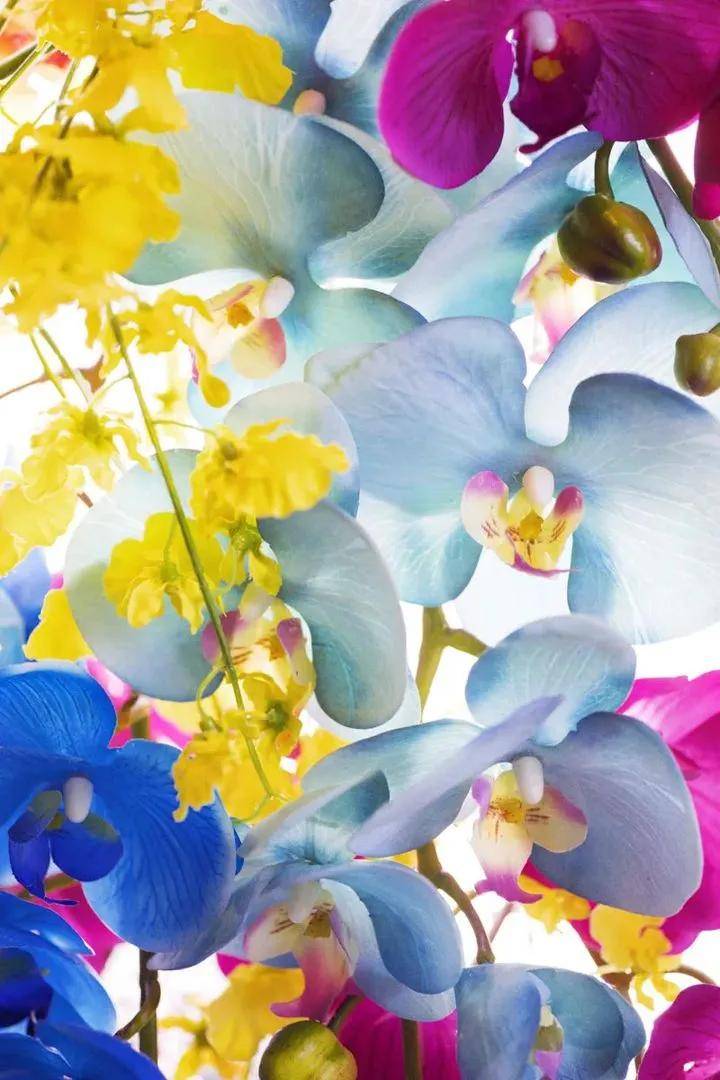 美学极具视觉冲击力的日式爆裂美学，肆意而浪漫