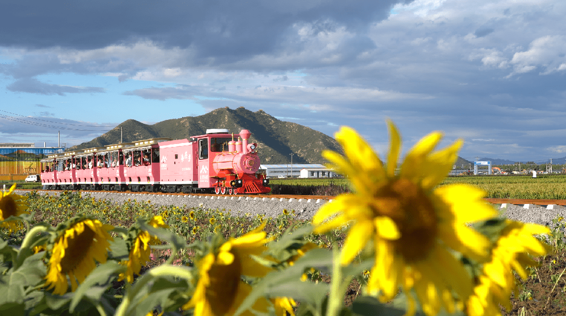 振兴号小火车 媲美"千与千寻"的小火车,穿梭于千亩稻田间,犹如童话沣