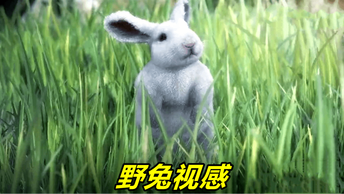 图片[1]-斗罗：魂兽小舞蜕变史，从野兔到柔骨魅兔，不献祭还不如大白兔-魔性次元