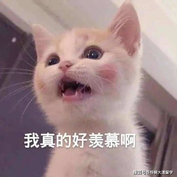 无CS背景可以转申计算机吗？这些项目了解下！