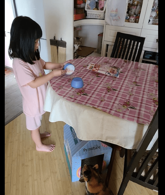 什么|女儿在吃零食，猫咪躲在旁边鬼鬼祟祟地偷看，表情太有戏了吧！