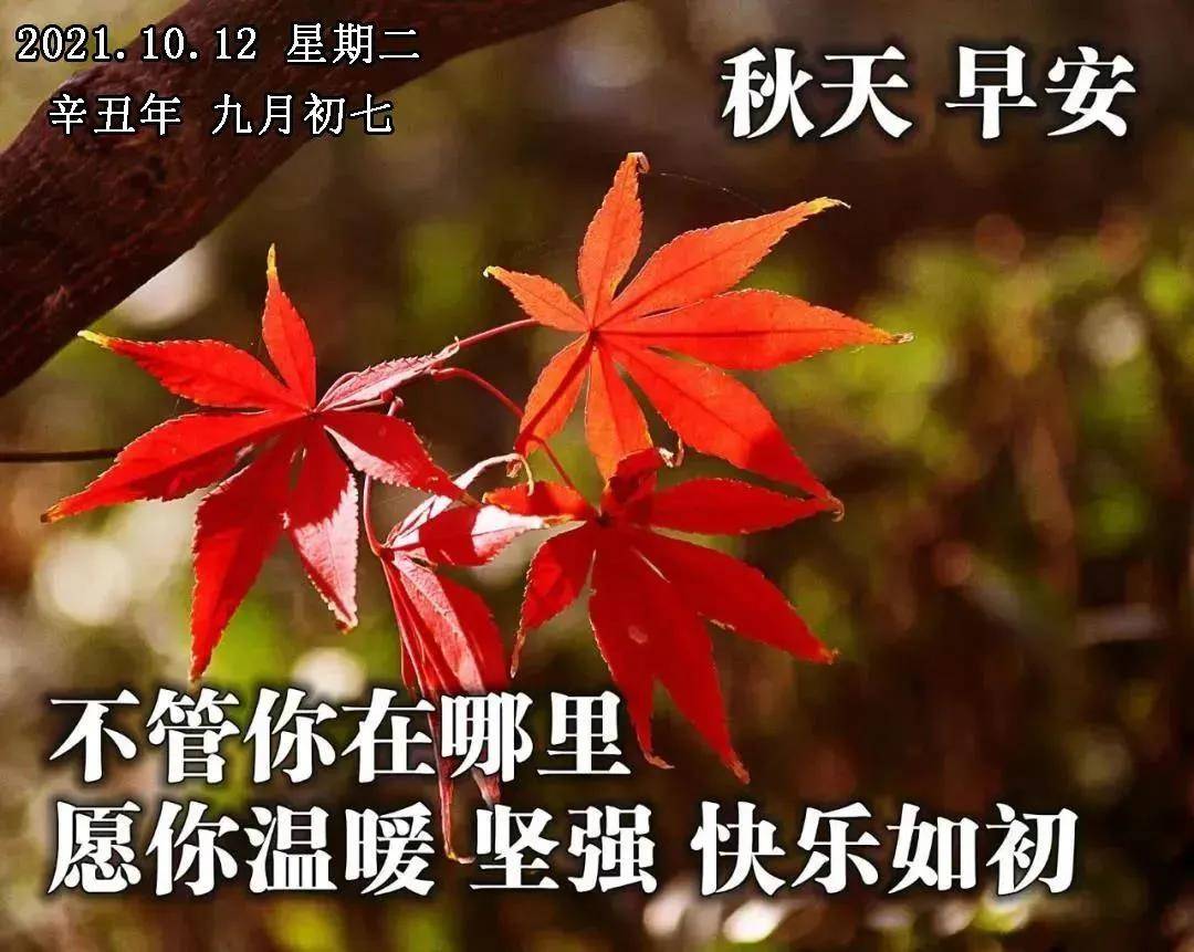 7张非常好看的清晨早上好图片带祝福语 秋天漂亮早上好祝福语图片带字