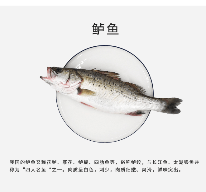 鱸魚是哪個品種