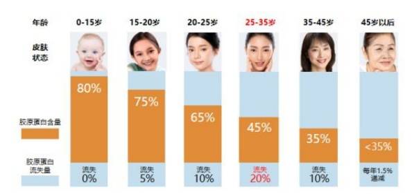 人体胶原蛋白肽是否有用？