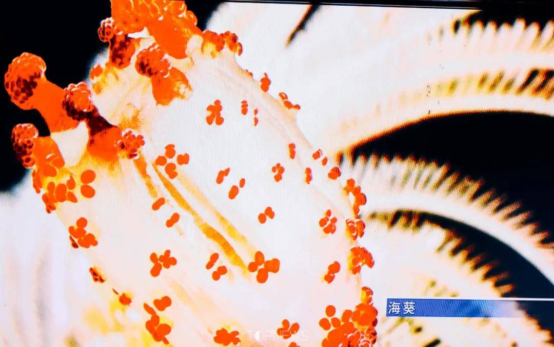 深藏BLUE！同济大学深海探索馆真的火了！