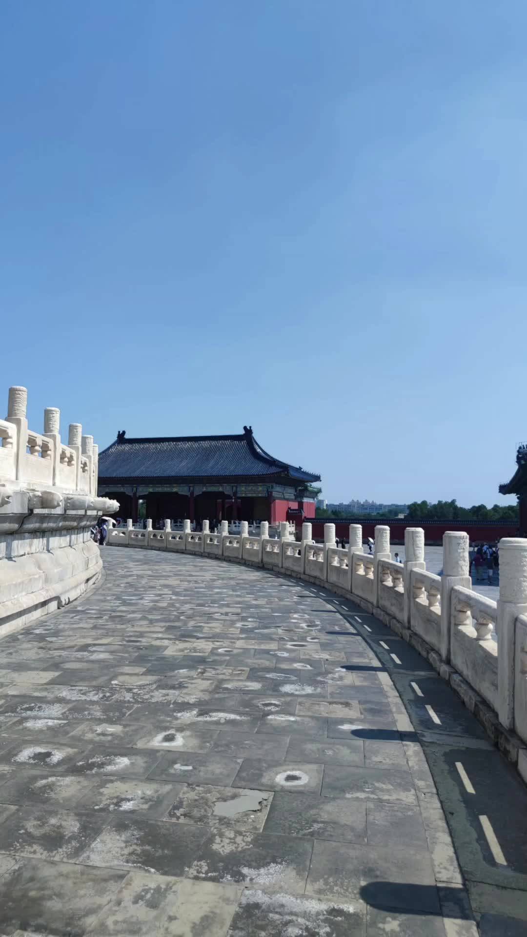 谁是天坛公园相亲角主角
