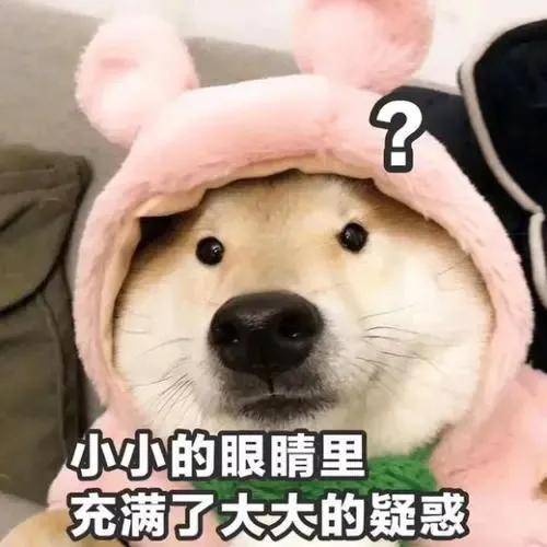 髋关节|重阳一起爬山吗？不是1秒下山的那种