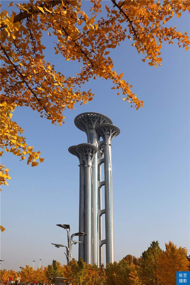 金色的奥林匹克公园 如今体育圣地 历史上素有 京北水乡 之称 北京 全网搜
