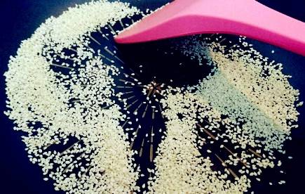 方法|牛人养花从不施肥,往盆里“撒”1斤零食,根系旺盛,开花不断!