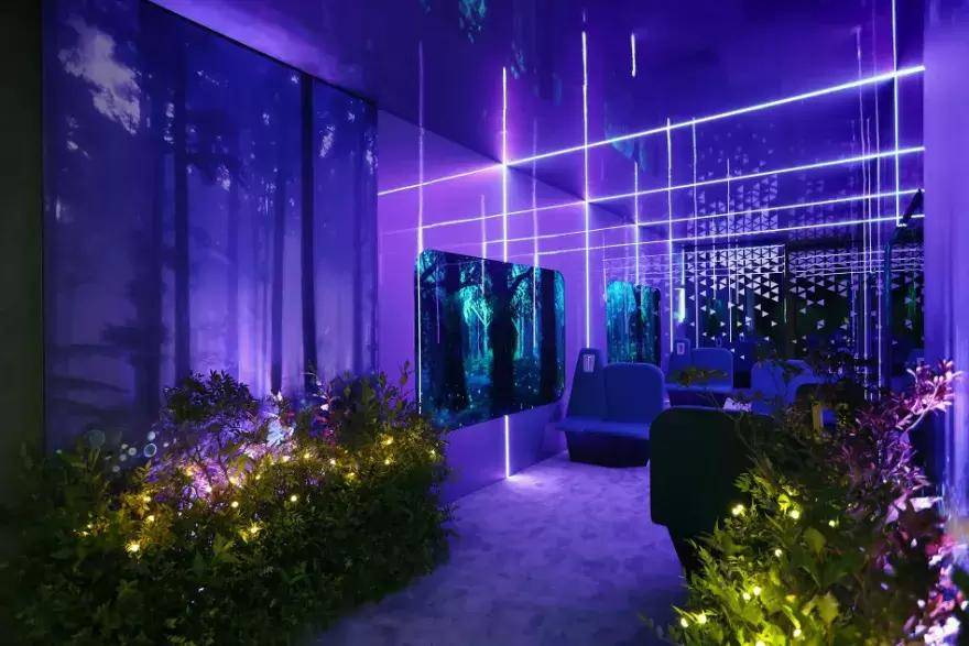 多样性|汽车行业如何助力生物多样性？宝马做出了表率！