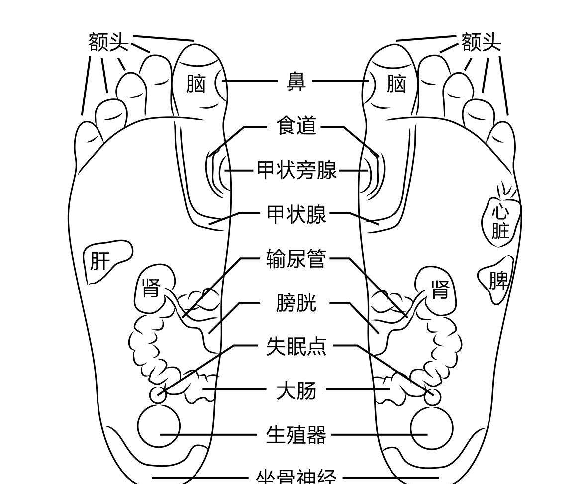 每天泡脚,竟然有这么好?