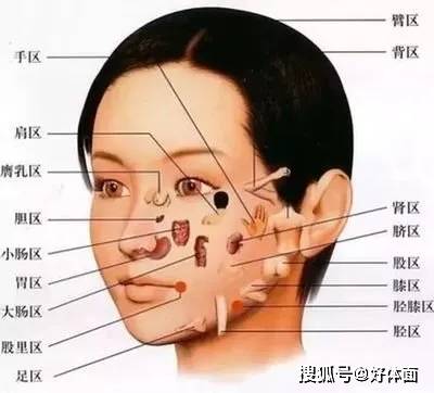 经络秋天了,还有比拨筋更好的肌肤秋补大法吗?
