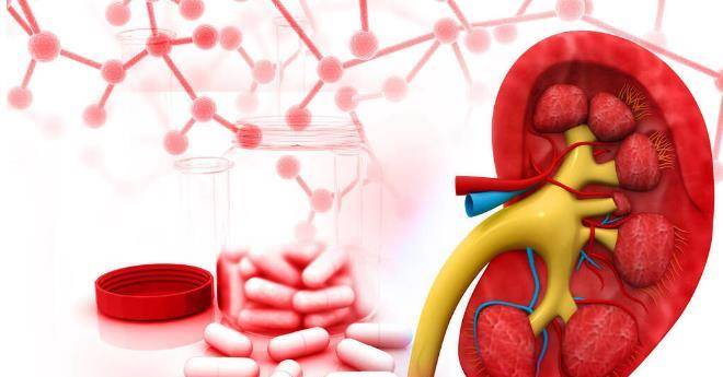 治疗|如何保证肾病得到治愈又不复发？掌握好5点即可，赶紧学习一下
