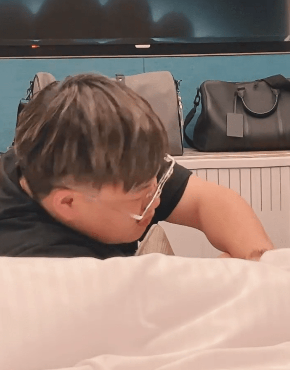 因为|黄子韬助理想顺走他家的熊猫,得知价格后,面对镜头大喊求放过