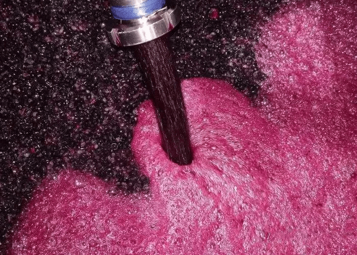 味蕾|别卡速：Z40 英雄本色干红|征服你的味蕾