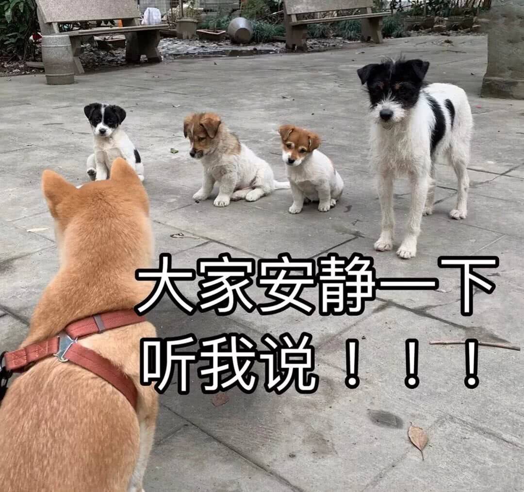 如何不被人随意使唤 01f2d8d3a0ce44d8b187b472a67579a9.jpeg