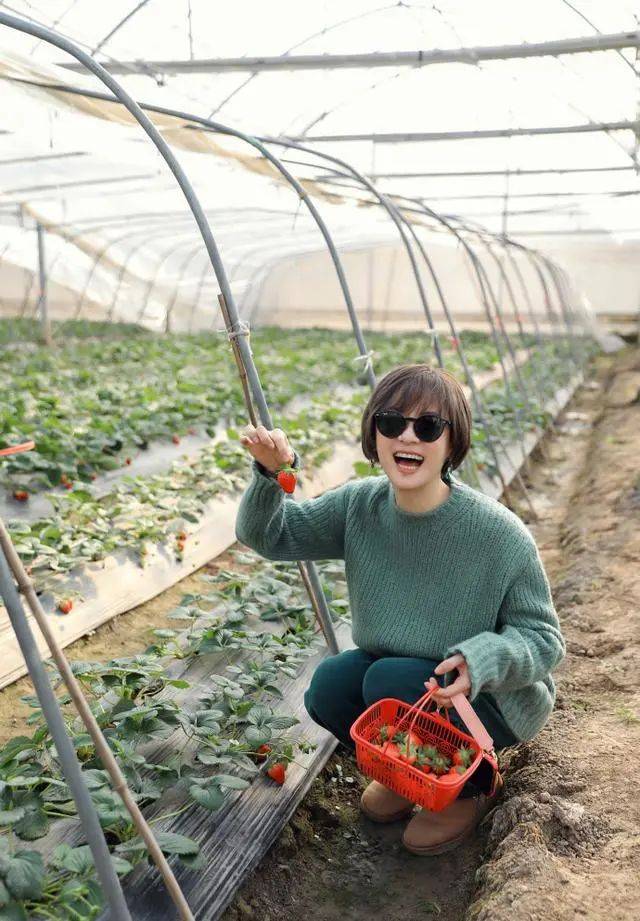 一身 孙俪又剪耳上短发,配一身黑西装出席活动,男相十足脸好长