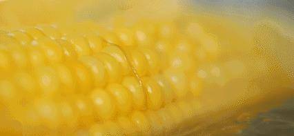 5d0523967254425d95a48b38b064b8ce.jpeg