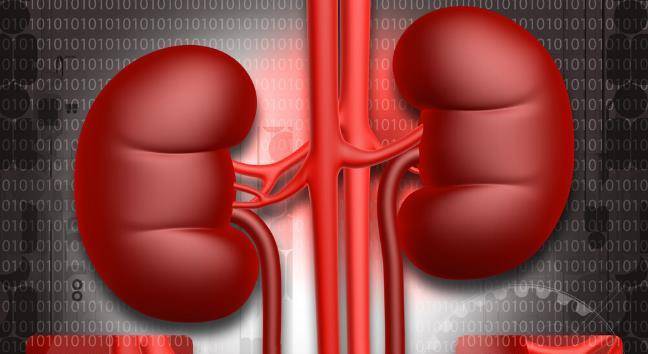 肾脏|肌酐升高后，防范尿毒症也不晚！稳住肾功能照着2步走