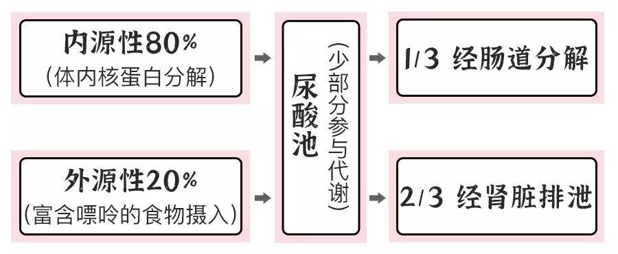 畸形|重庆男童被奶奶活活喂成畸形！婆媳反目：谁让你天天给娃喝这个