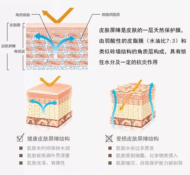 方法花还开科技祛斑：敏感肌该怎么祛斑？