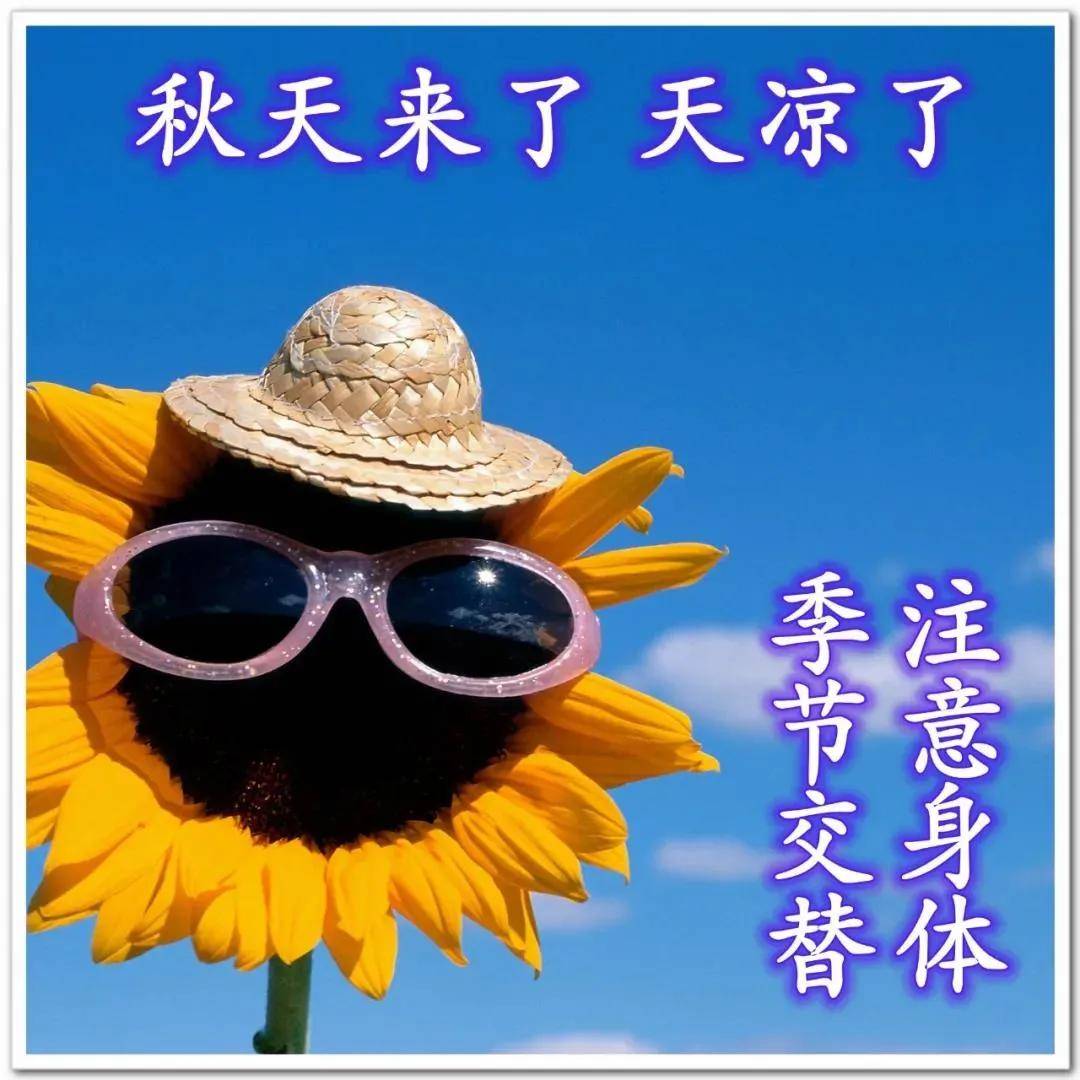 原创8张最美秋日风景早上好祝福图片带字温馨秋天天冷了关心问候早安