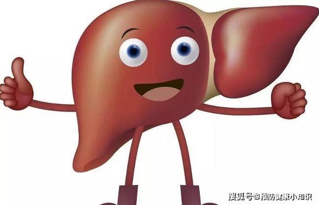 肾脏|肝好的人，手上可能有3个“记号”，若全中，恭喜，肝保养得不错