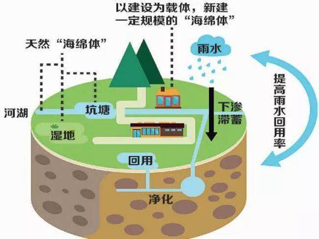 什么是海绵居住区 雨水